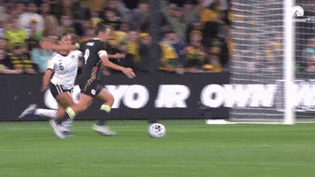 Caitlin Foord Celebration GIF by Football Australia