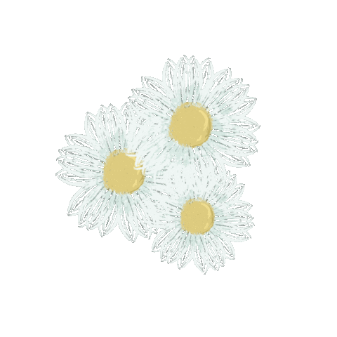 Daisy Sticker
