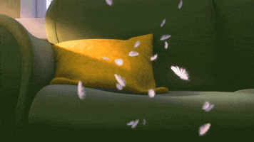 Cat Lol GIF by The Secret Life Of Pets