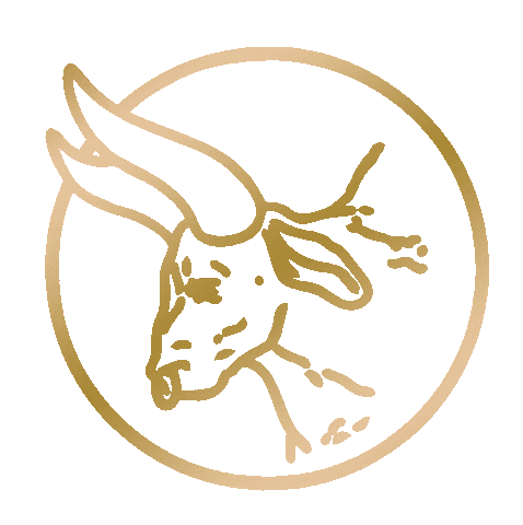 Indy Coffee Club Sticker