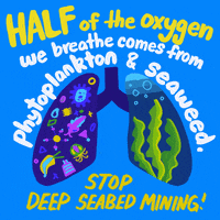 Worldoceansday Gifs Get The Best Gif On Giphy Worldoceansday Gifs Get The Best Gif On Giphy