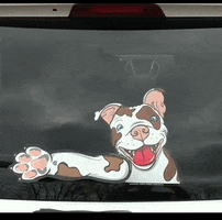 Pitbull Waving GIF by WiperTags Wiper Covers