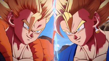 Dragon Ball Z Fight GIF