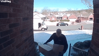 FedEx Delivery Man Slides Down Front Yard