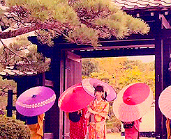 200.gif?cid=fc005b08a2f9910e59f6a88d5deb7a942b6ef73bf867c966&rid=200.gif&ct=g
