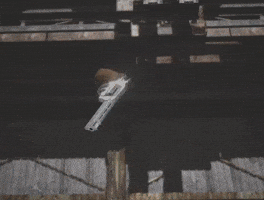 Resident Evil Zero GIF