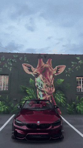 Car GIF