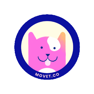 Cat Kitty Sticker by Movet