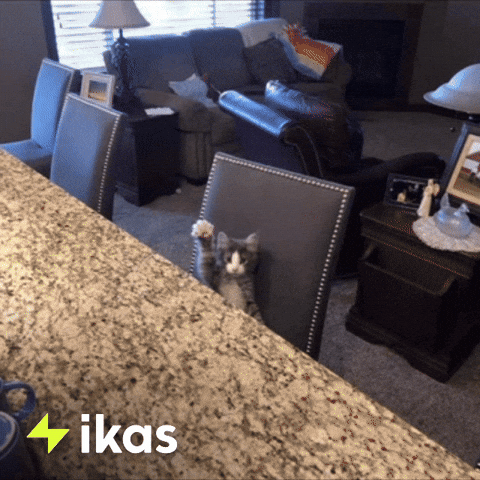 See Ya Hello GIF by ikas