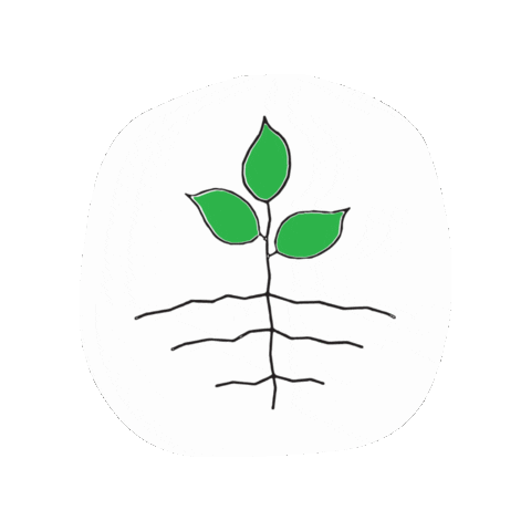 Jo Anne's Place Health Foods Sticker