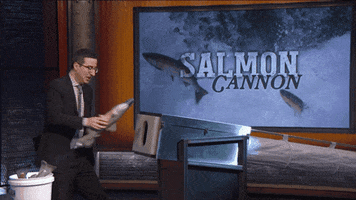 John Oliver Salmon Cannon GIF by Giffffr