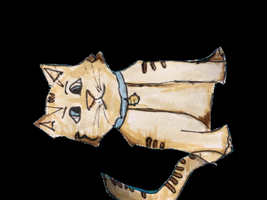 GIF by Kunstkwartier