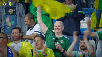 Happy Norn Iron GIF by Northern Ireland