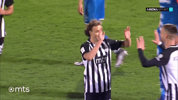 Mts Fkpartizan GIF by sportmts