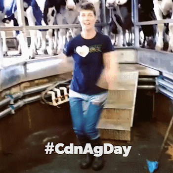 Cdnagday GIF by Ag More Than Ever