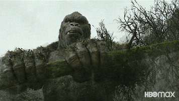 King Kong Fight GIF by HBO Max