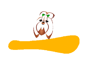 Canil Company Forever Sticker