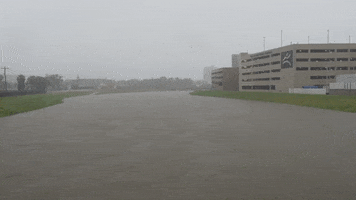 Tropical Storm Water GIF by DIIMSA Stock