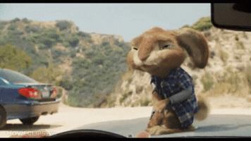 Jelly Beans Bunny GIF