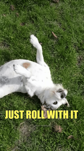 Roll With It GIF by KreativCopy - Find & Share on GIPHY