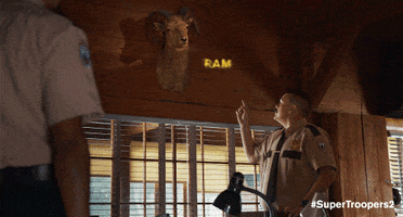 super troopers 2 ram rod GIF by Fox Searchlight