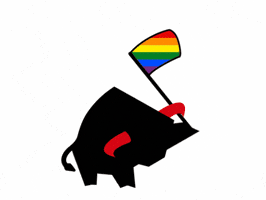 Rainbow Pride GIF by PREFA