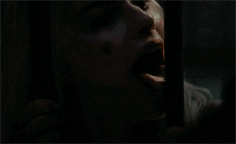 [Image: giphy.gif?cid=ecf05e47k9dx33kby22k6tim86...f&ct=g]