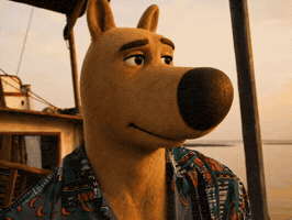 Chillguy Chilling GIF