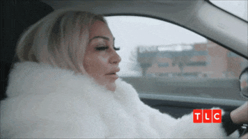 Twins Driving GIF by TLC