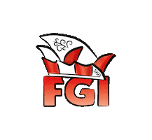 FG Illesheim Sticker