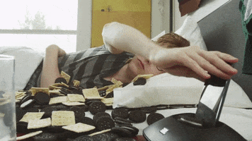 Wake Up Morning GIF by The Gregory Brothers