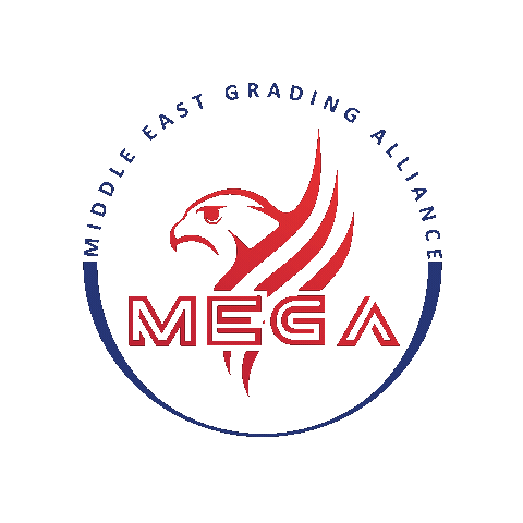 Megagrading Sticker by MEGA