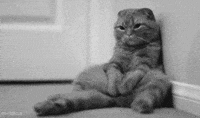 Christmas Eve Waiting GIF