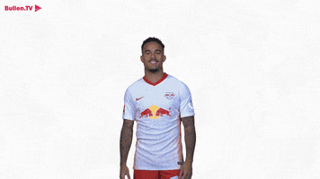 Lets Go Yes GIF by RB Leipzig