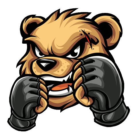 Fight Mma Sticker by srodowiskomiejskie