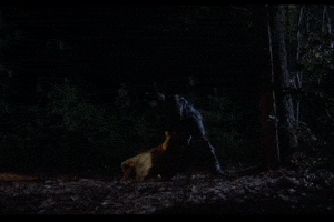 Jason Voorhees GIF