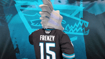 Turn Around Hello GIF by San Jose Barracuda