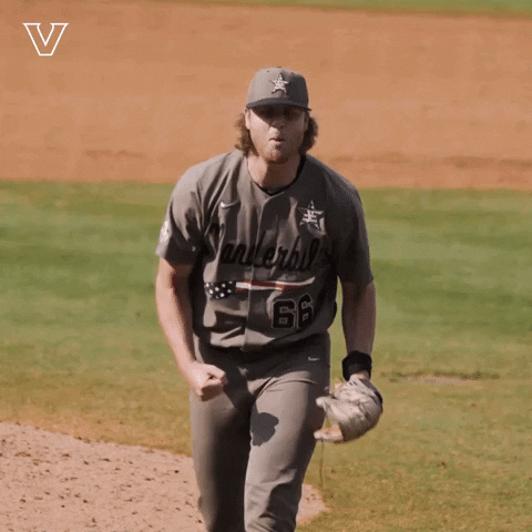 Celebrate College World Series GIF by Vanderbilt Athletics