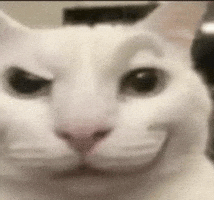 Smilingwhitecat GIF