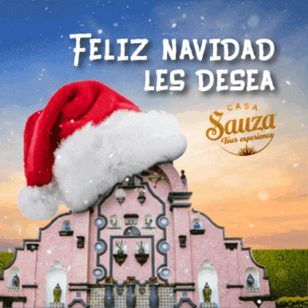 Christmas Tequila GIF by Casa Sauza