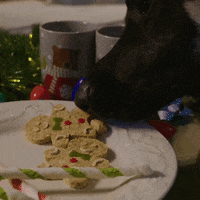 200.gif?cid=fc005b0869ff961375f36c485737894ac15fe08b0b7eb28f&rid=200.gif&ct=g