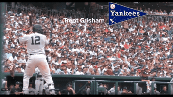 Yankees GIF