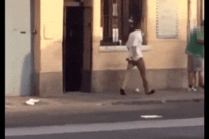 gazsoistvan esztergom vipera kemma GIF