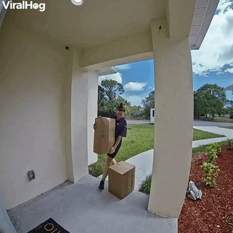 Lizard Gives Delivery Driver A Surprise GIF by ViralHog