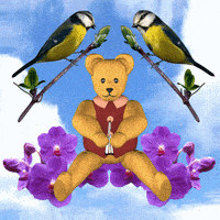 Teddy Bear Birds GIF