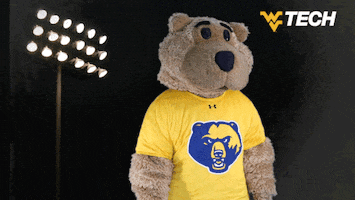 Celebrate West Virginia GIF by WVU Tech Golden Bears