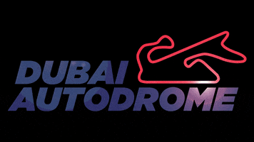 Dubai Race GIF by Dubai Autodrome