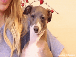 200.gif?cid=f0bdee7021ppe0z3ks5ssmrcka78nx7ioa2midzmhupkm8ht&rid=200.gif&ct=g