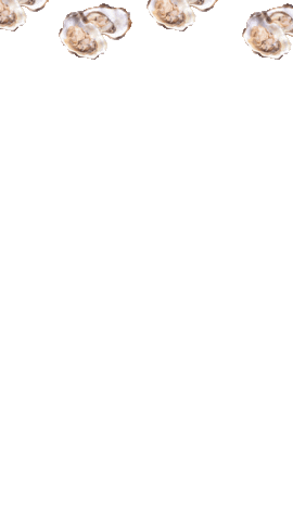 Seafood Oysters Sticker by VIVO - dal mare alla padella