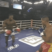 Knock Out Win GIF by GLORY Kickboxing